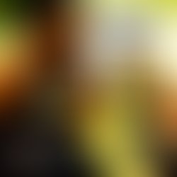 1386776501 img 2505