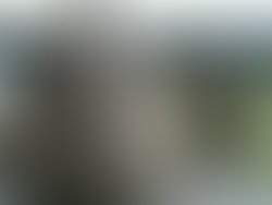 1455132696 cf27c48c815fac42775a55e68f4b9da896556a2a