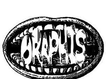Oraphis