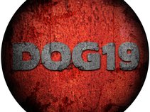Dog19