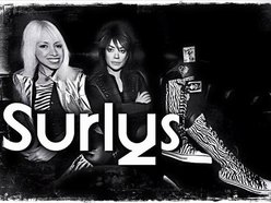 The Surlys