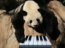Chilled Panda