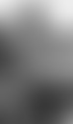 1354663980 deniseroof copy