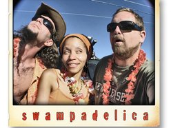 Image for Swampadelica