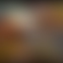 1426963437 ds np cover