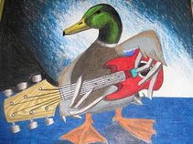 DuckShepherd
