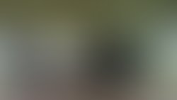 1388970039 porcelainwombat1