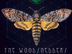 Image for The Woodshedders
