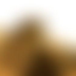 1388591284 2861894147411 1717696448 o