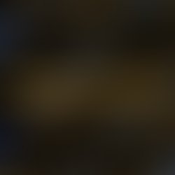 13754515 523816747801950 4877335295961751358 n