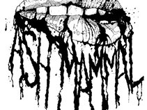 Ash Mammal