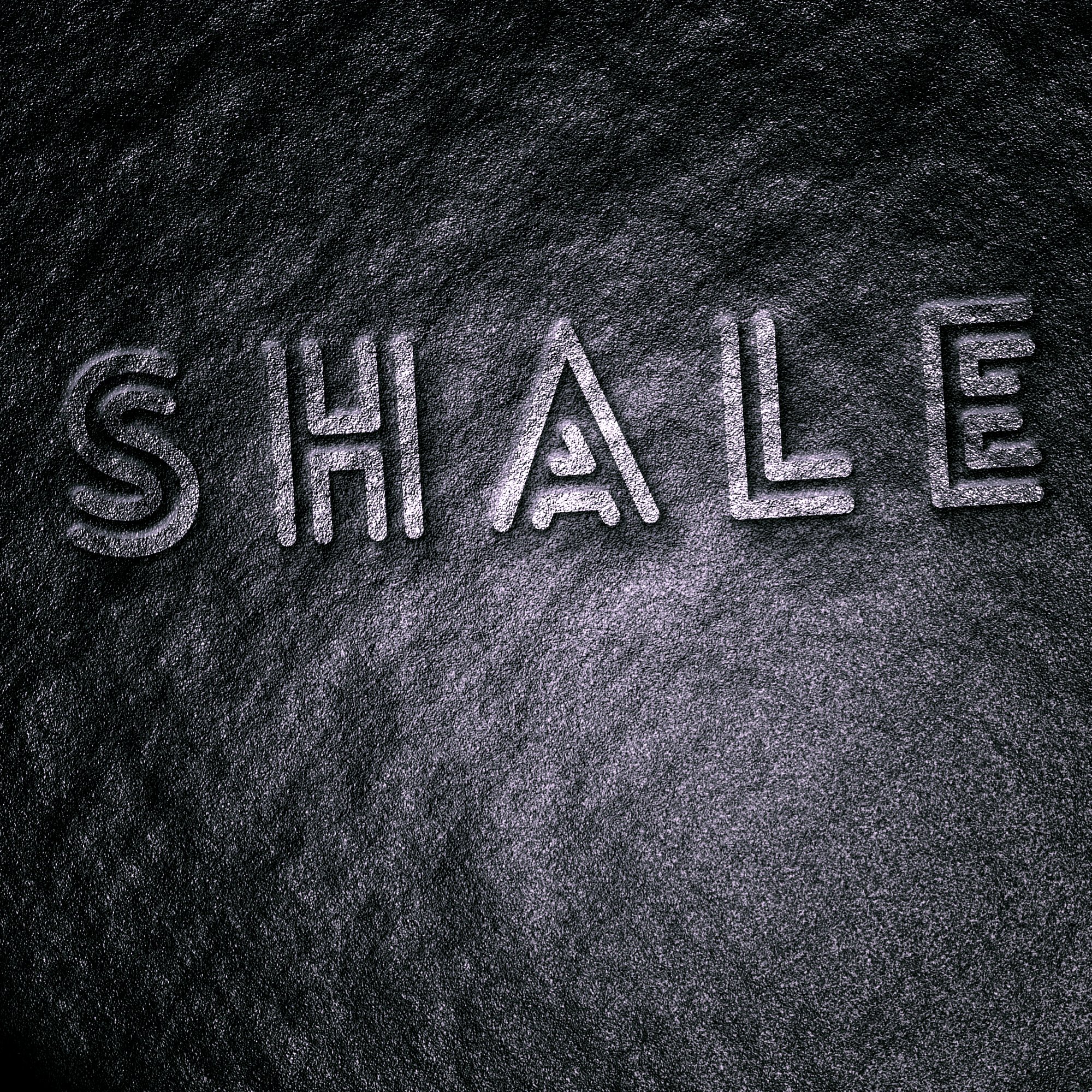 ReverbNation profile picture for @shale