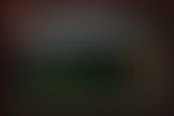 1 panel 5 modified3 1254782011