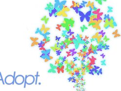 ReverbNation profile picture for @adopt