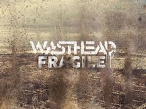 Wasthead