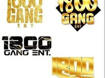 1800 Gang ent.