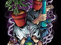 Urban Hippie & Paradox