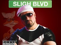 Sligh Talkbox