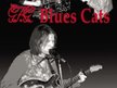 GKG Blues Cats