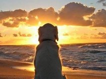 WaveToWav Productions