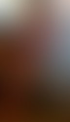 Artist 3913863 1618077198