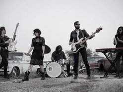 Image for Darkbird