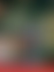 L 697e619ca629408ea004621798337342 1247589841