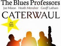 The Blues Professors