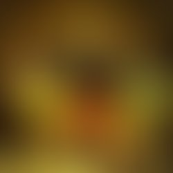 1415545816 cover