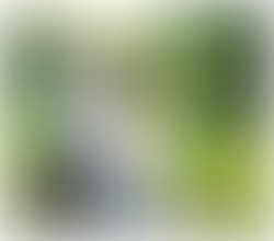 Front cd cover 2017 04 25 at 8 41 02 pm