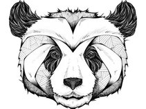 The Smack Pandas