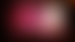 1390770772 amelia fiesta roma festival dancing