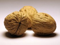 Walnut Groove
