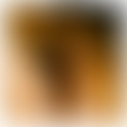 1391497786 artist 3922409 1391497775