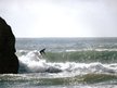 Surfbound
