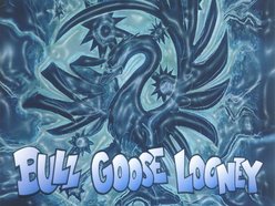 Bull Goose Looney