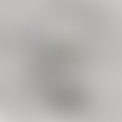 Cleincram cover traces 300 neu