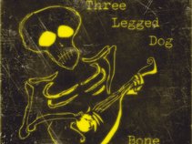Three Legged Dog