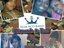 Laydee_A Queen of NCO