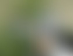 Eb8 pc pe teris vi ksna green