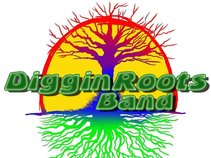 Diggin Roots Band