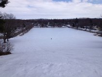 Kurtis T. Love Child