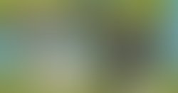 Nv touch fb rect 1 on