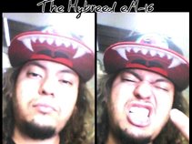 Hybreed eM-16