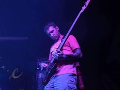 Image for Mark Stuart