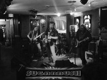 Sugarbush