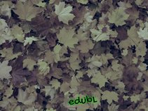 Dj EdubL