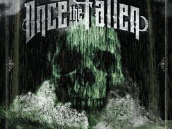 Image for Once the Fallen