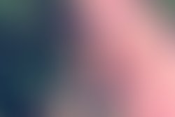 1450418590 wendy smirking