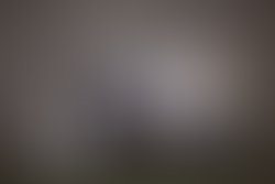 Photo 20sep 2028 2c 205 2054 2054 20pm